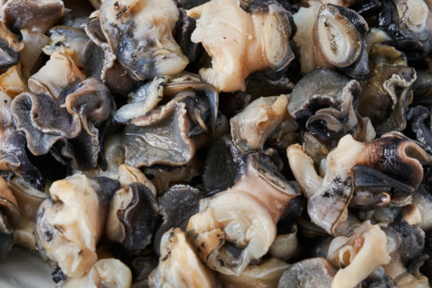 국산우렁 600g