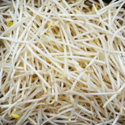 일자 콩나물 3.5kg
