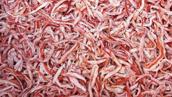 홍진미채 1kg
