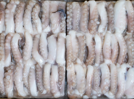 (냉동)절단낙지 500g